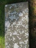 image of grave number 529693